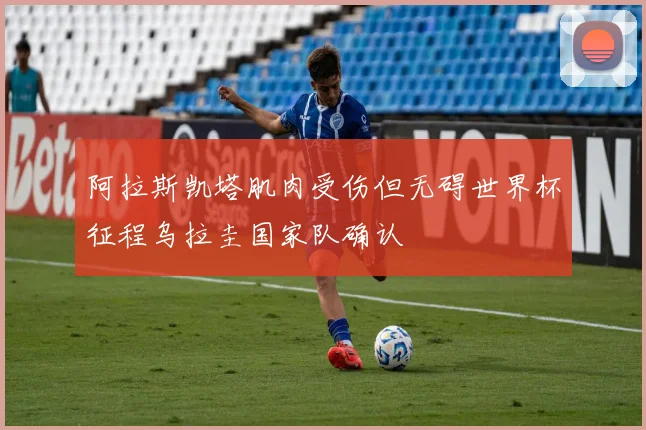 阿拉斯凯塔肌肉受伤但无碍世界杯征程乌拉圭国家队确认