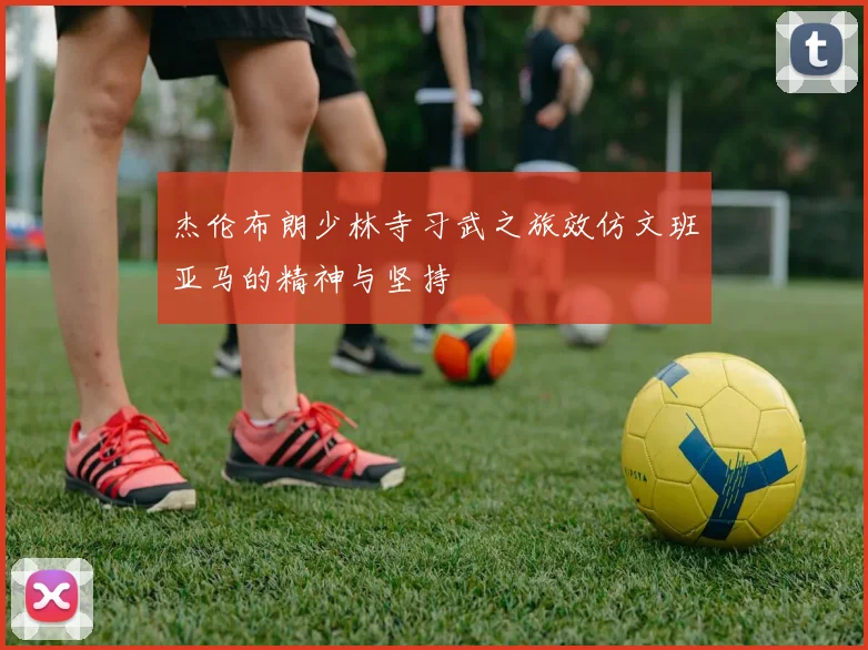 杰伦布朗少林寺习武之旅效仿文班亚马的精神与坚持